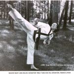 When The Student Is Ready The Master Appears